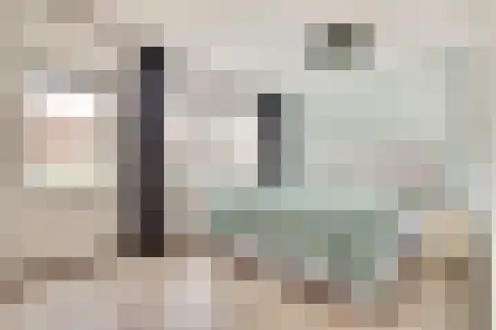 Ridder van Catsweg 228 Gouda thumbnail 16