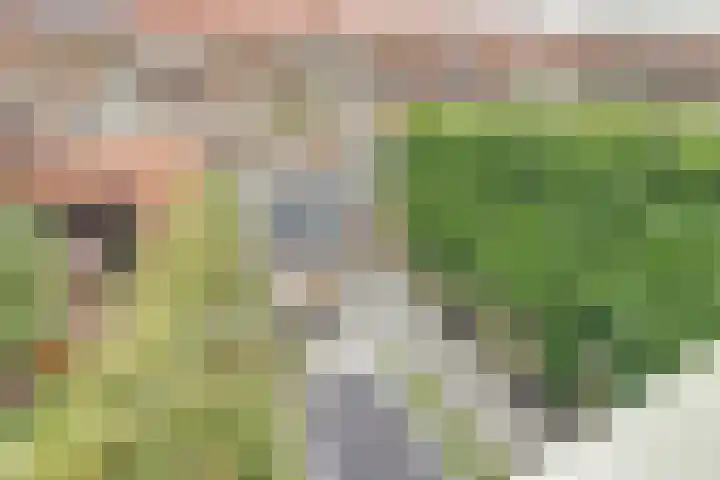Ridder van Catsweg 228 Gouda thumbnail 22