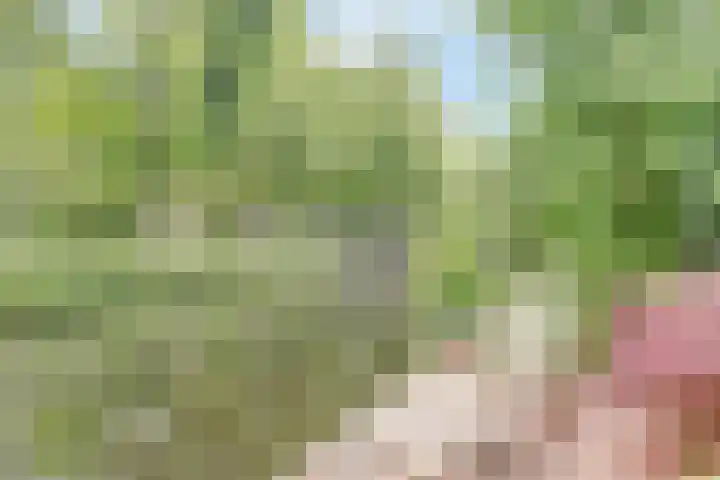 Ridder van Catsweg 228 Gouda thumbnail 32