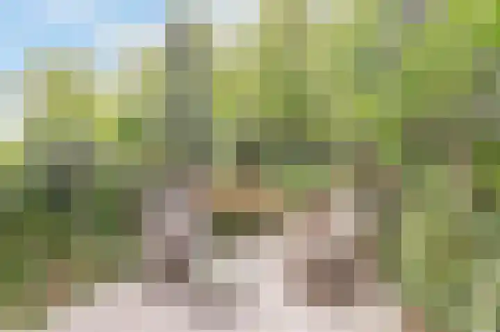 Ridder van Catsweg 228 Gouda thumbnail 4