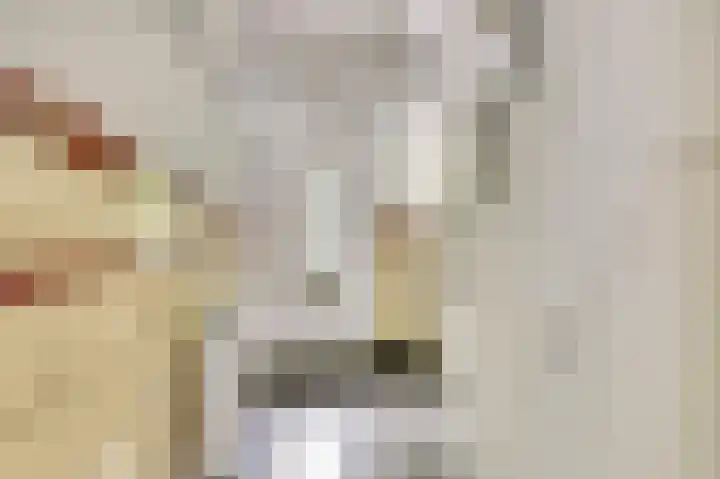 Ridder van Catsweg 228 Gouda thumbnail 5