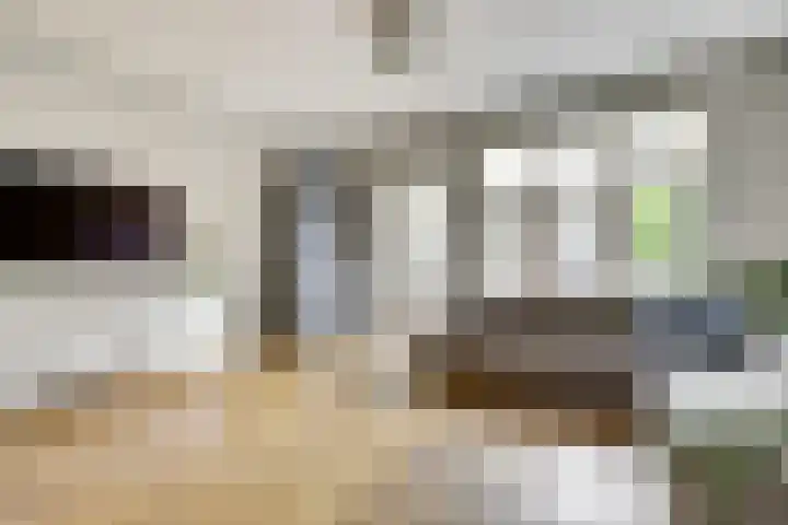 Ridder van Catsweg 228 Gouda thumbnail 8