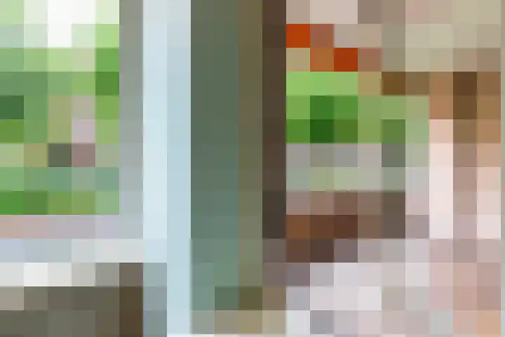 Ridder van Catsweg 54 Gouda thumbnail 13