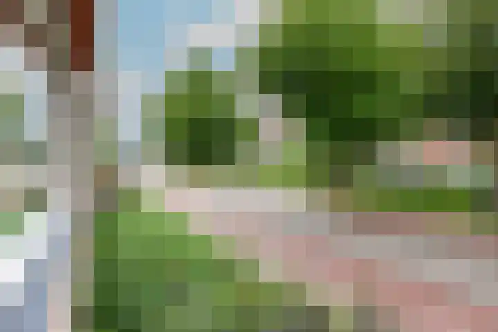 Ridder van Catsweg 54 Gouda thumbnail 15