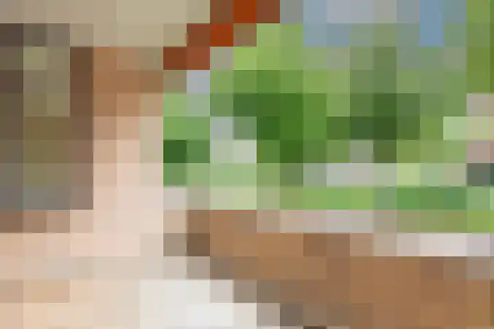 Ridder van Catsweg 54 Gouda thumbnail 16