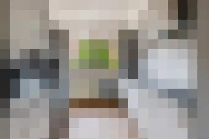 Ridder van Catsweg 54 Gouda thumbnail 18