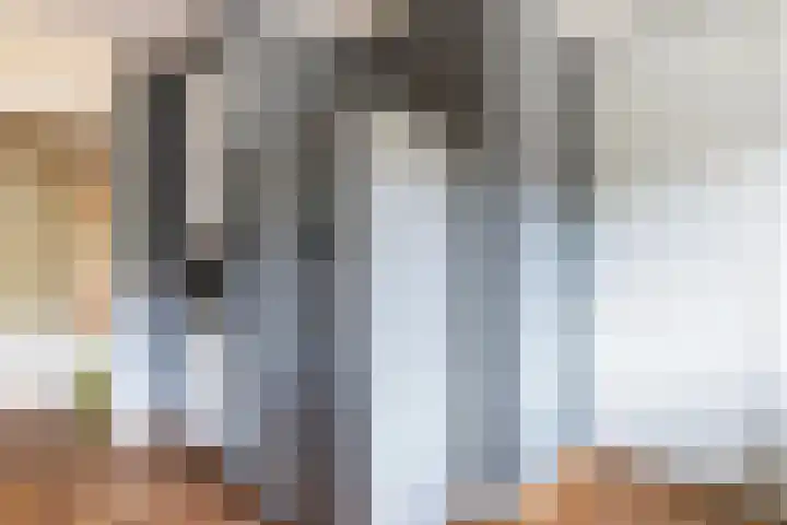 Ridder van Catsweg 54 Gouda thumbnail 21