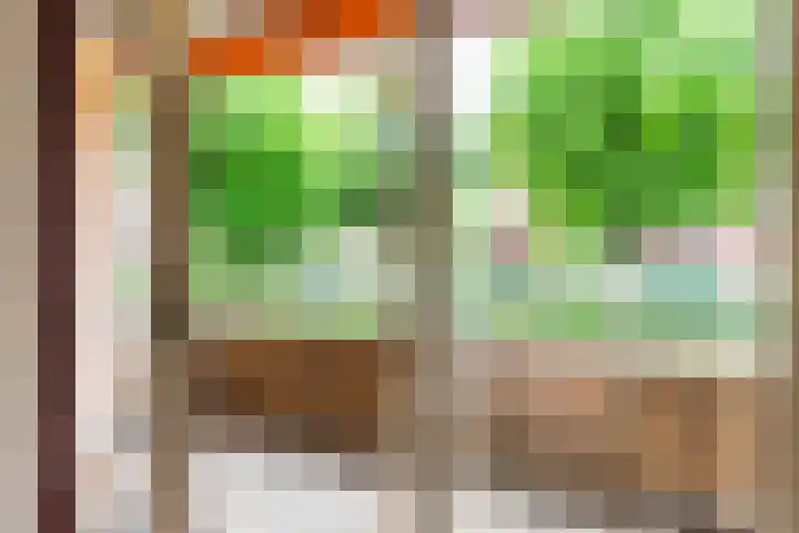 Ridder van Catsweg 54 Gouda thumbnail 24