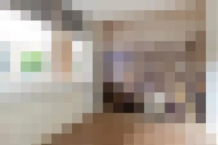 Ridder van Catsweg 54 Gouda thumbnail 28