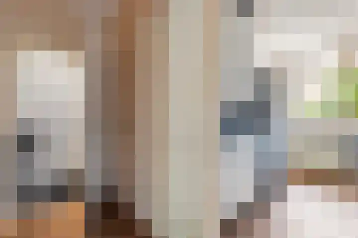 Ridder van Catsweg 54 Gouda thumbnail 29