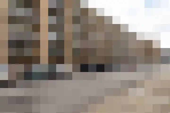 Ridder van Catsweg 54 Gouda thumbnail 31
