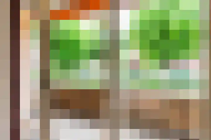 Ridder van Catsweg 54 Gouda thumbnail 4