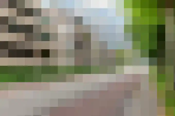 Ridder van Catsweg 54 Gouda thumbnail 6