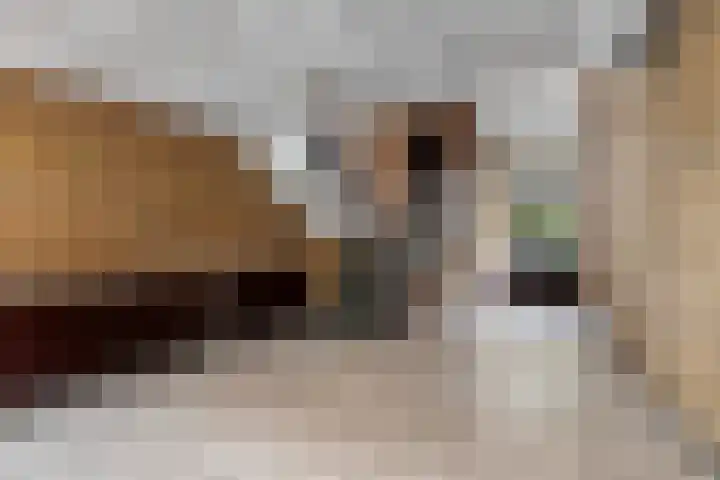 Ridder van Catsweg 54 Gouda thumbnail 8
