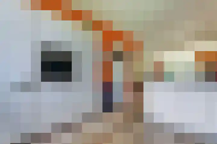 Ridder van Catsweg 79 Gouda thumbnail 12