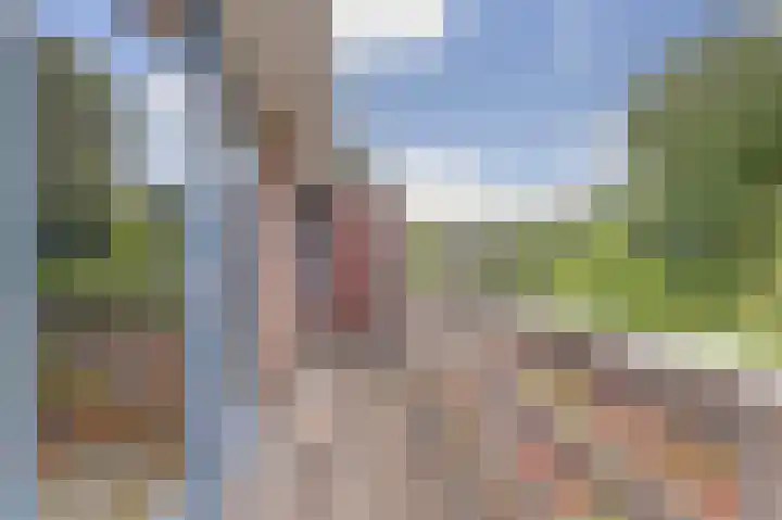 Ridder van Catsweg 79 Gouda thumbnail 17