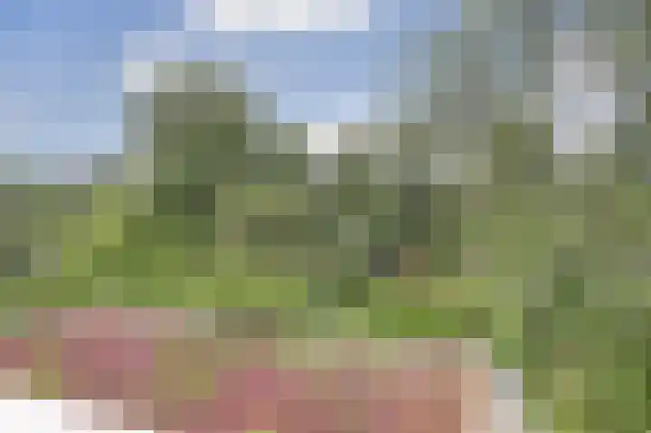 Ridder van Catsweg 79 Gouda thumbnail 18