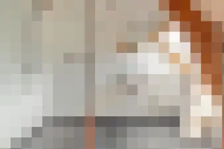 Ridder van Catsweg 79 Gouda thumbnail 25
