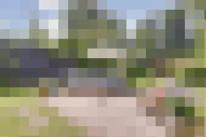 Ridder van Catsweg 79 Gouda thumbnail 28