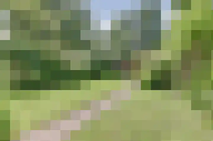 Ridder van Catsweg 79 Gouda thumbnail 29