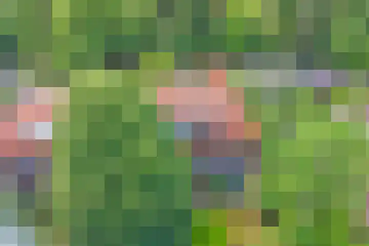 Ridder van Catsweg 79 Gouda thumbnail 30