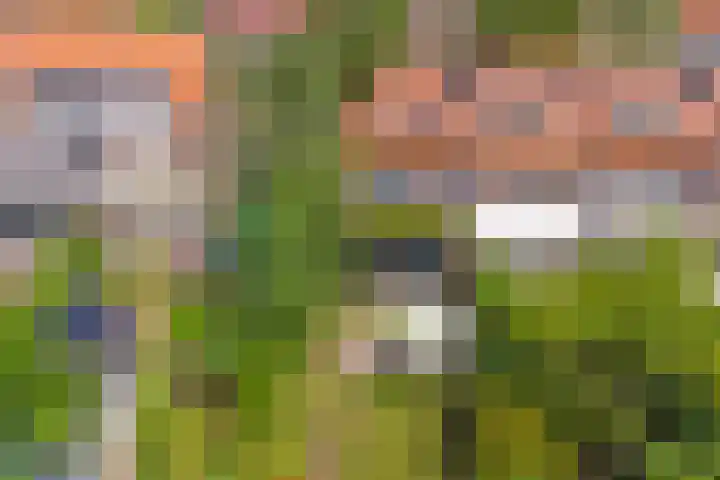 Ridder van Catsweg 79 Gouda thumbnail 31