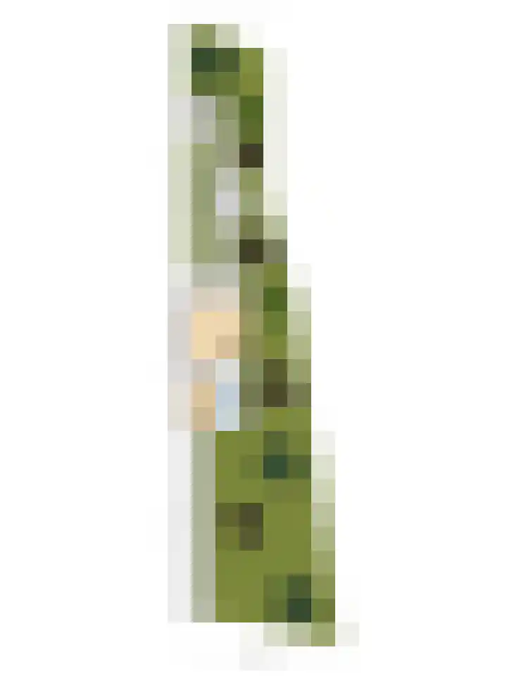 Ridder van Catsweg 79 Gouda thumbnail 32