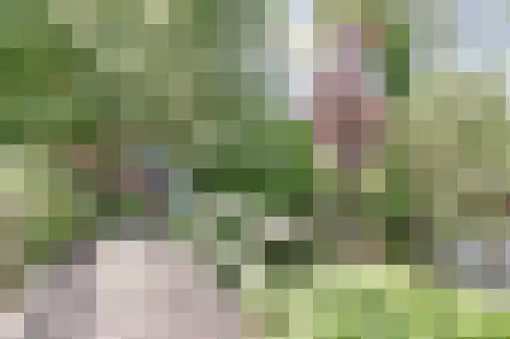 Ridder van Catsweg 79 Gouda thumbnail 5