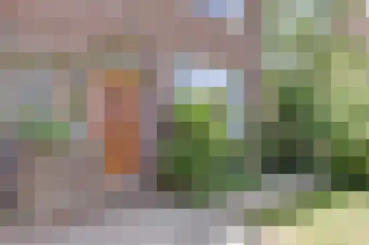 Ridder van Catsweg 79 Gouda thumbnail 6