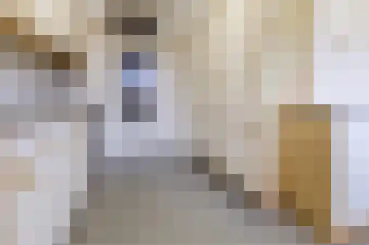 Ridder van Catsweg 82 Gouda thumbnail 14