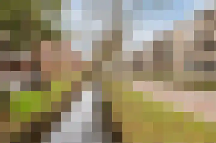Ridder van Catsweg 82 Gouda thumbnail 34