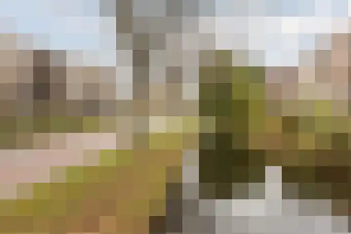 Ridder van Catsweg 82 Gouda thumbnail 35