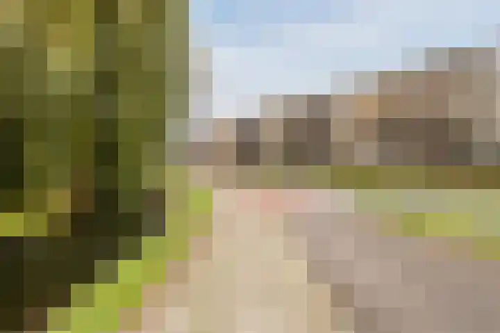 Ridder van Catsweg 82 Gouda thumbnail 36