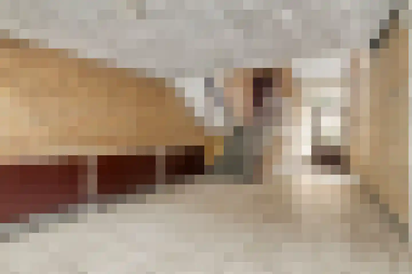 Ridder van Catsweg 86 Gouda thumbnail 8
