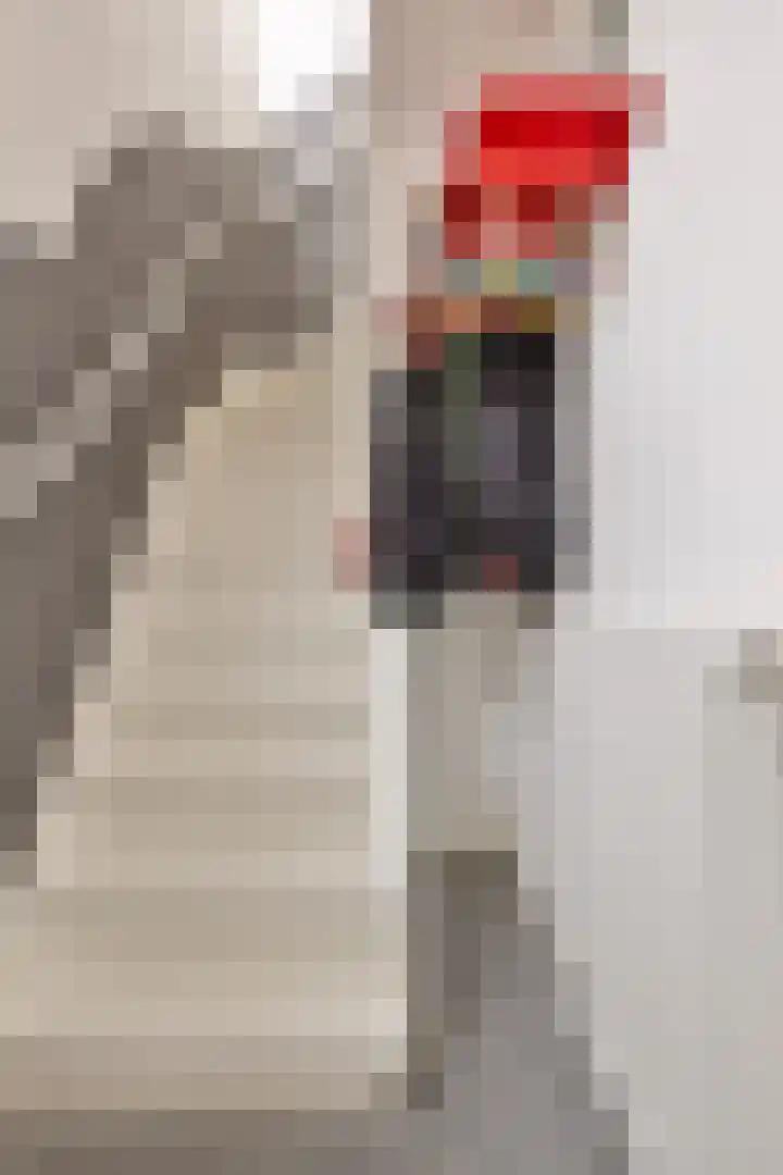Ridder van Cuijkstraat 32 Boxtel thumbnail 13