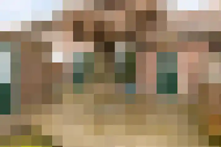 Ridder van Cuijkstraat 32 Boxtel thumbnail 25