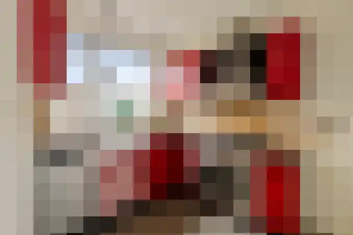 Ridder van Cuijkstraat 32 Boxtel thumbnail 9