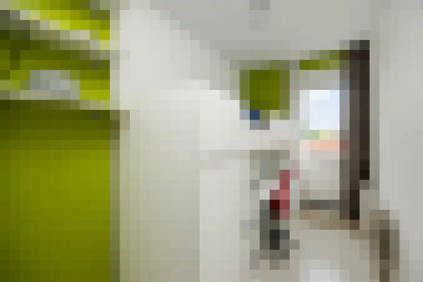 Ridder van Cuijkstraat 5 Boxtel thumbnail 20