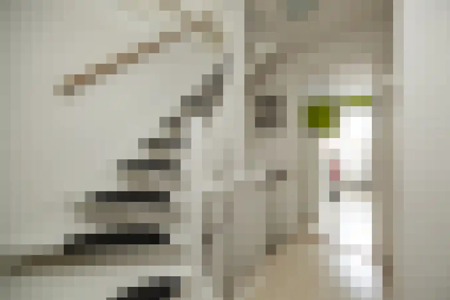 Ridder van Cuijkstraat 5 Boxtel thumbnail 25