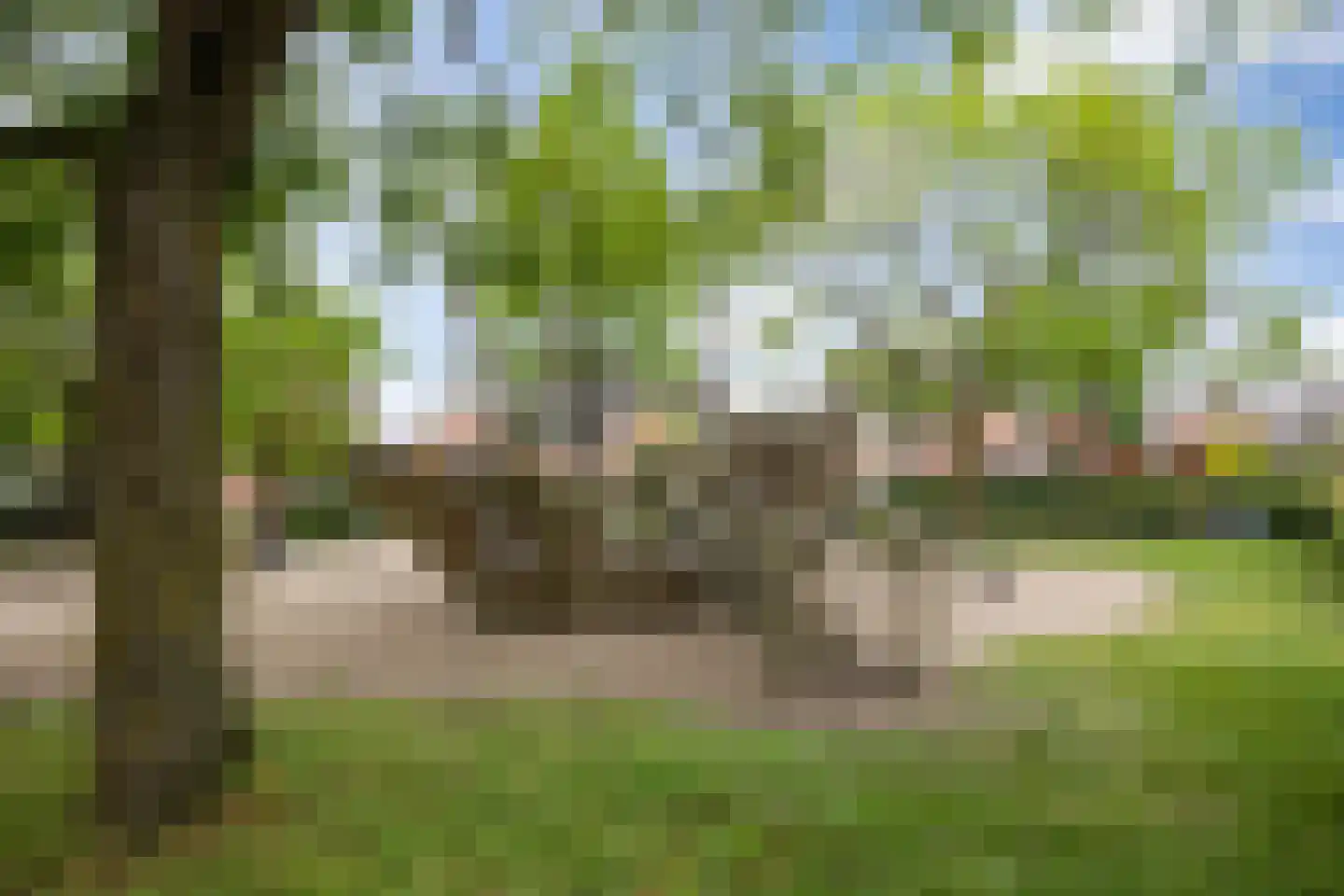 Ridder van Cuijkstraat 5 Boxtel thumbnail 35