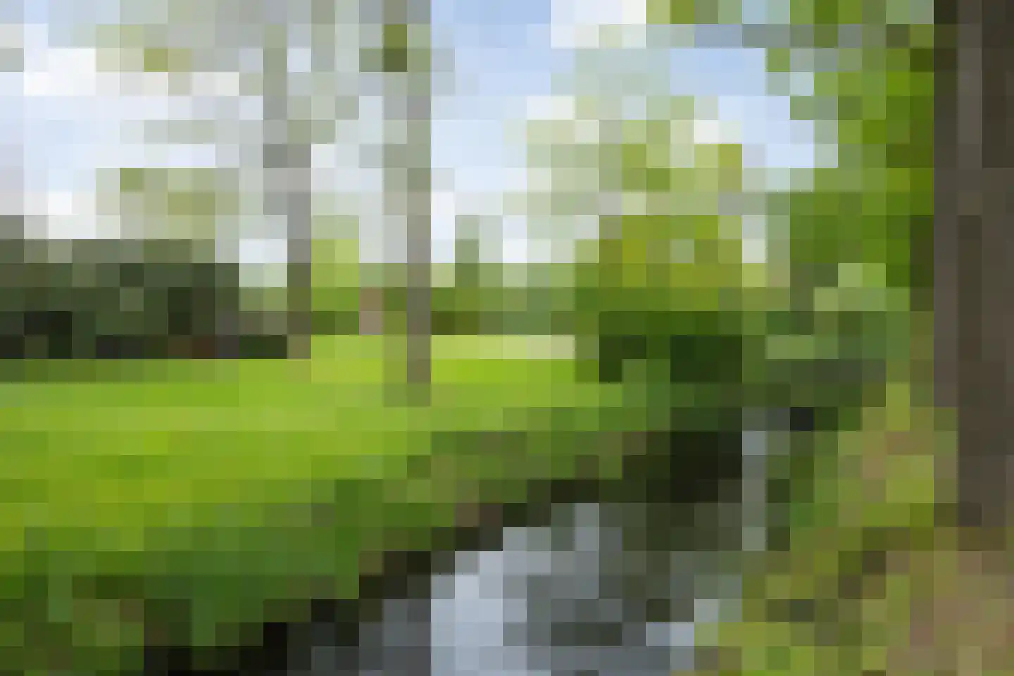 Ridder van Cuijkstraat 5 Boxtel thumbnail 36