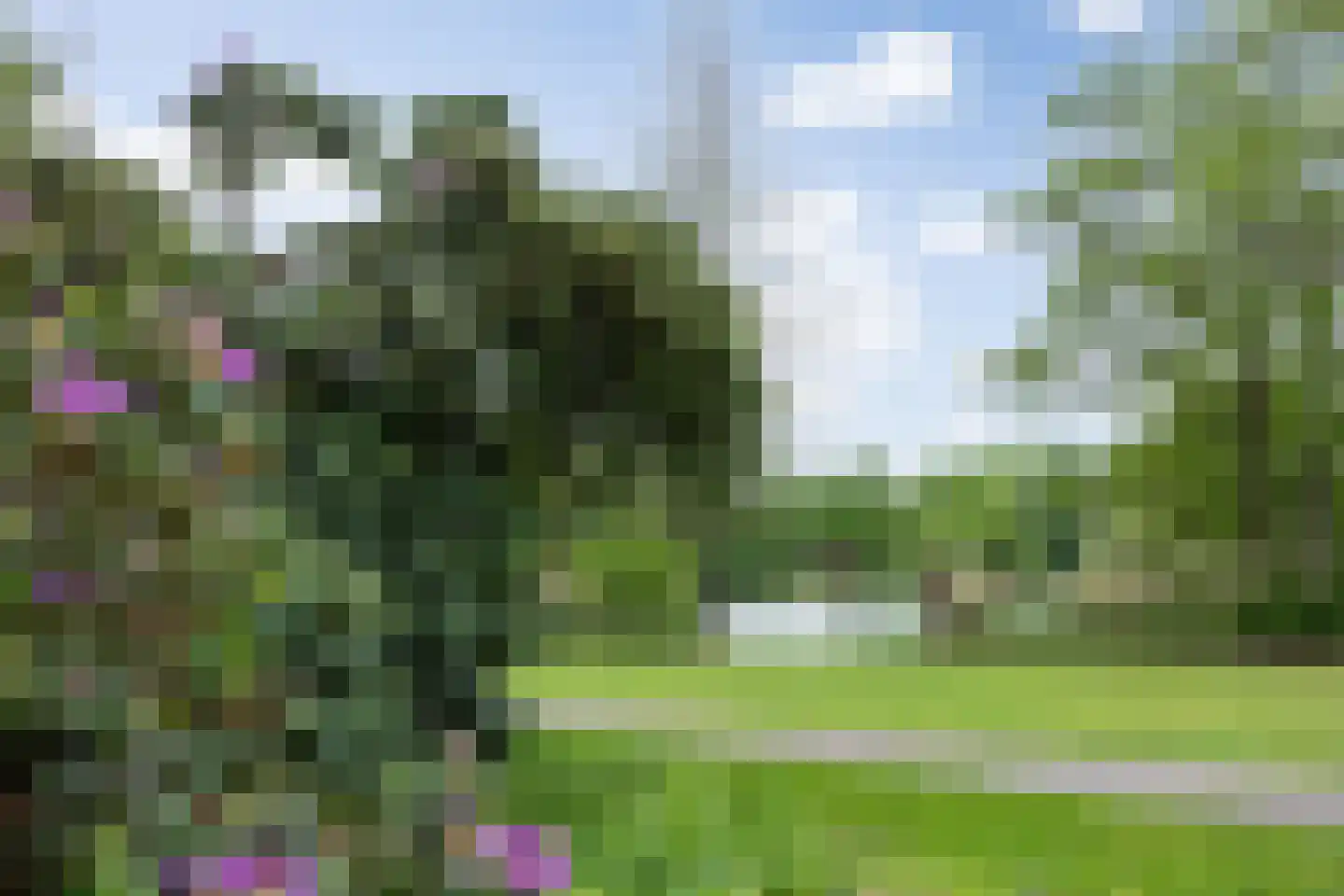 Ridder van Cuijkstraat 5 Boxtel thumbnail 37