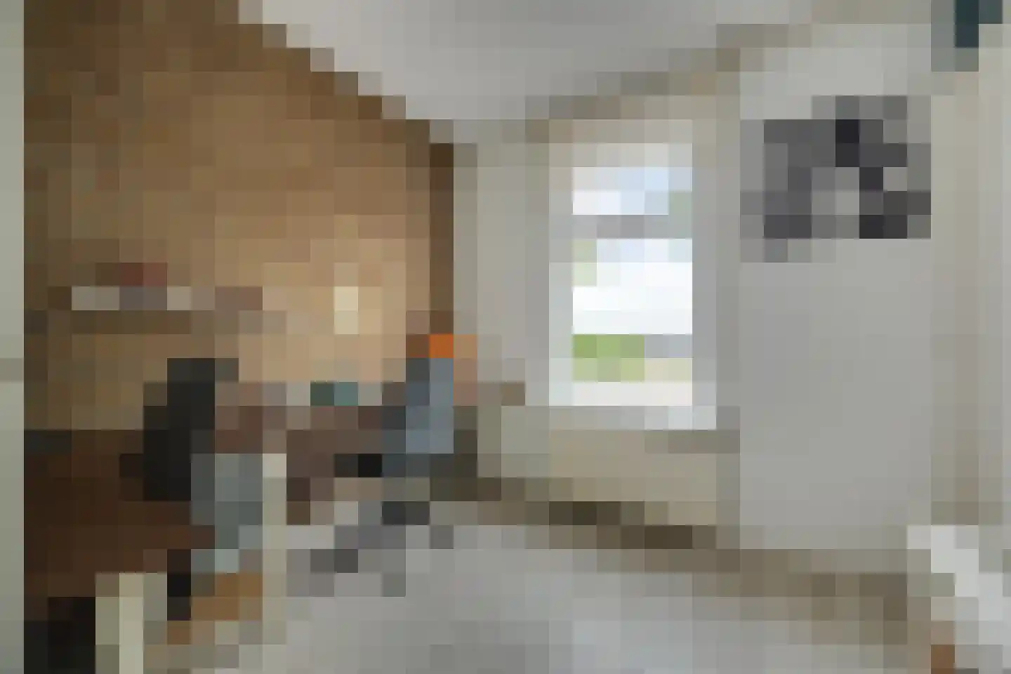 Ridder van Cuijkstraat 5 Boxtel thumbnail 5