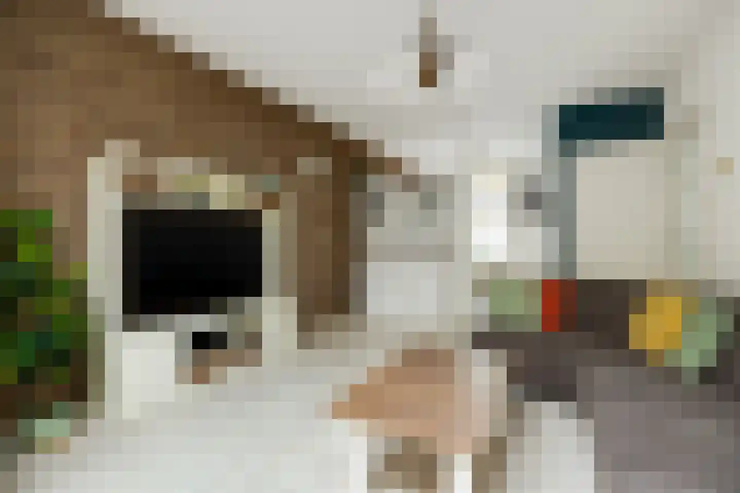 Ridder van Cuijkstraat 5 Boxtel thumbnail 6
