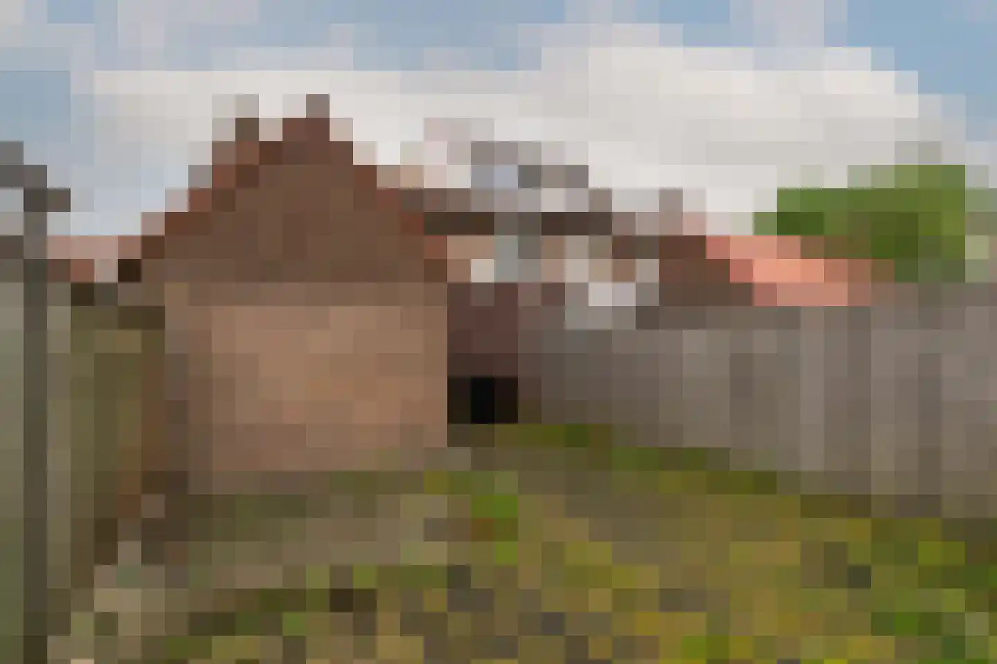 Ridder van Cuijkstraat 7 Boxtel thumbnail 18