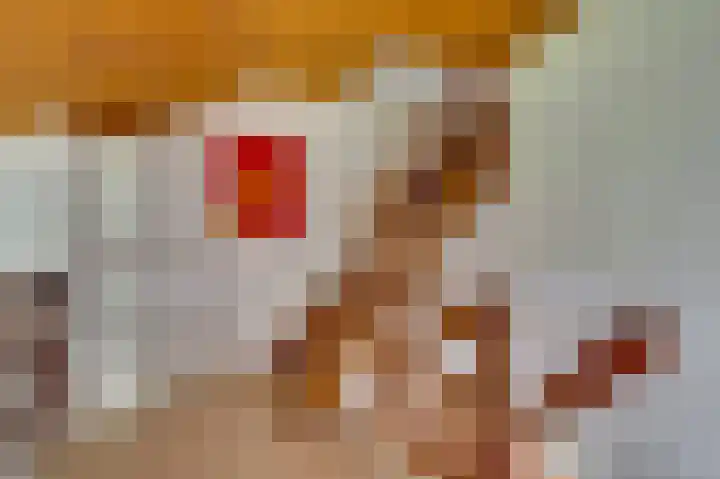 Ridder van de Merwedestraat 6 Meeuwen thumbnail 10