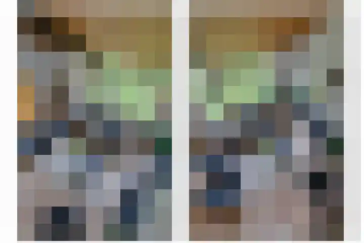 Ridder van de Merwedestraat 6 Meeuwen thumbnail 11