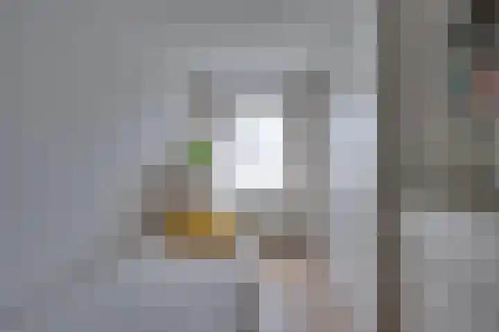 Ridder van de Merwedestraat 6 Meeuwen thumbnail 13