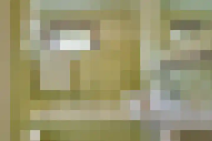 Ridder van de Merwedestraat 6 Meeuwen thumbnail 15