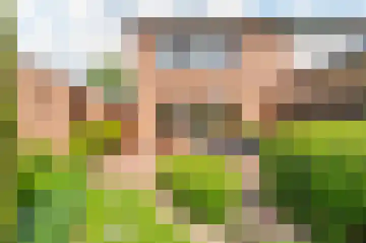Ridder van de Merwedestraat 6 Meeuwen thumbnail 19